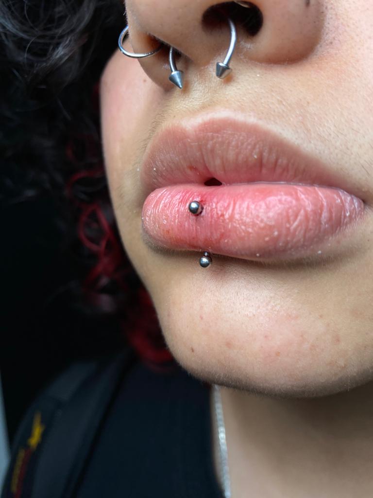 Imagen de Galería
