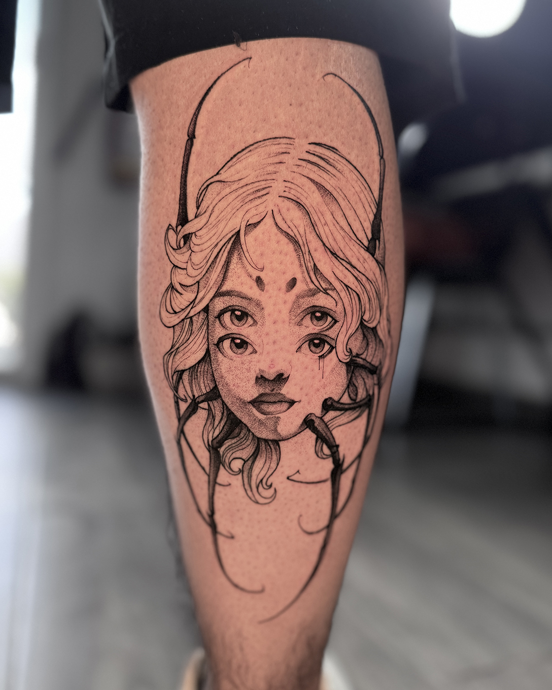 Imagen de Galería