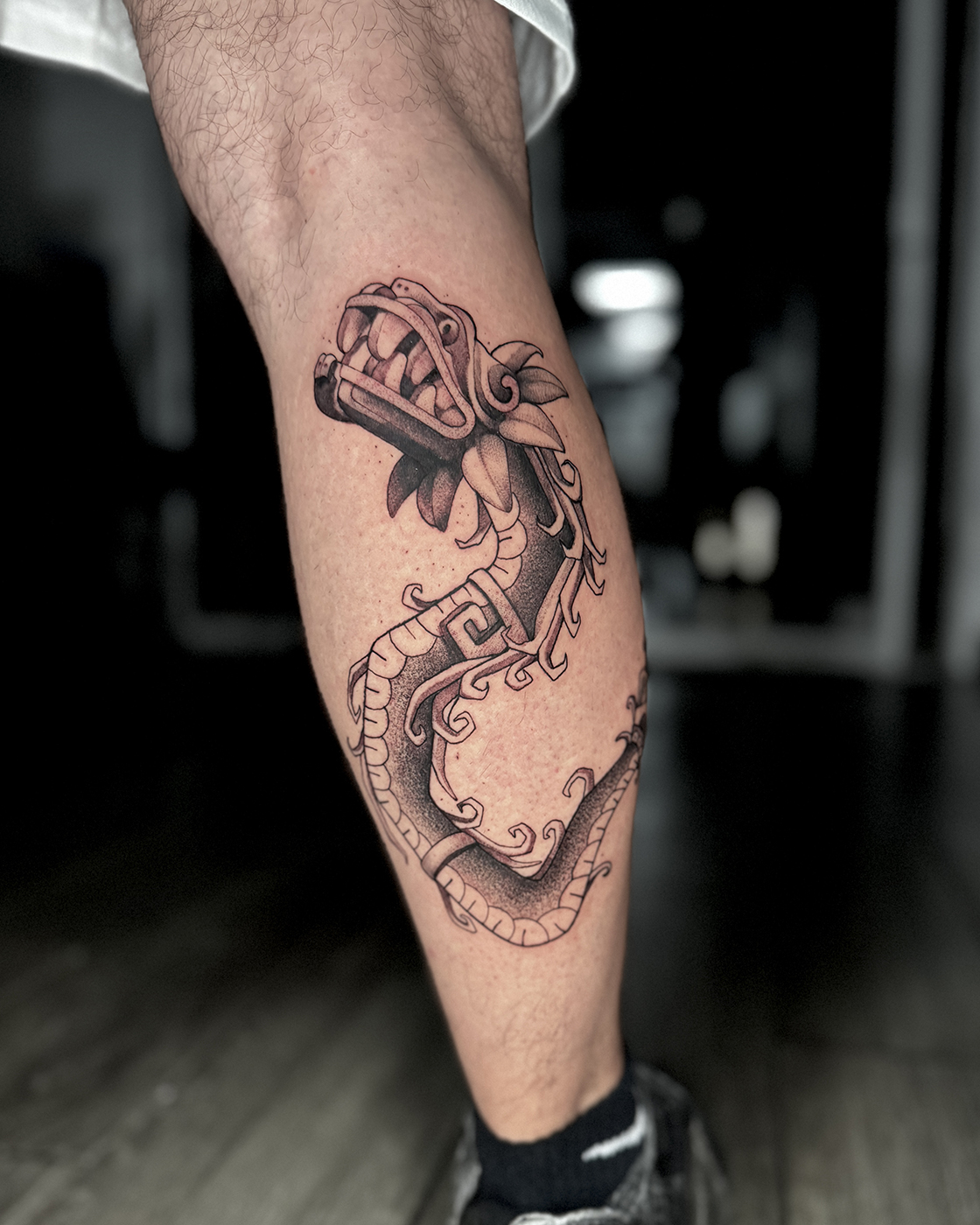 Imagen de Galería